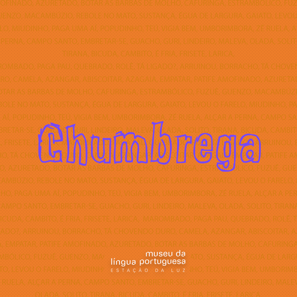 20171101-MLP-EssaEaNossaLingua-Chumbrega – Museu da Língua Portuguesa